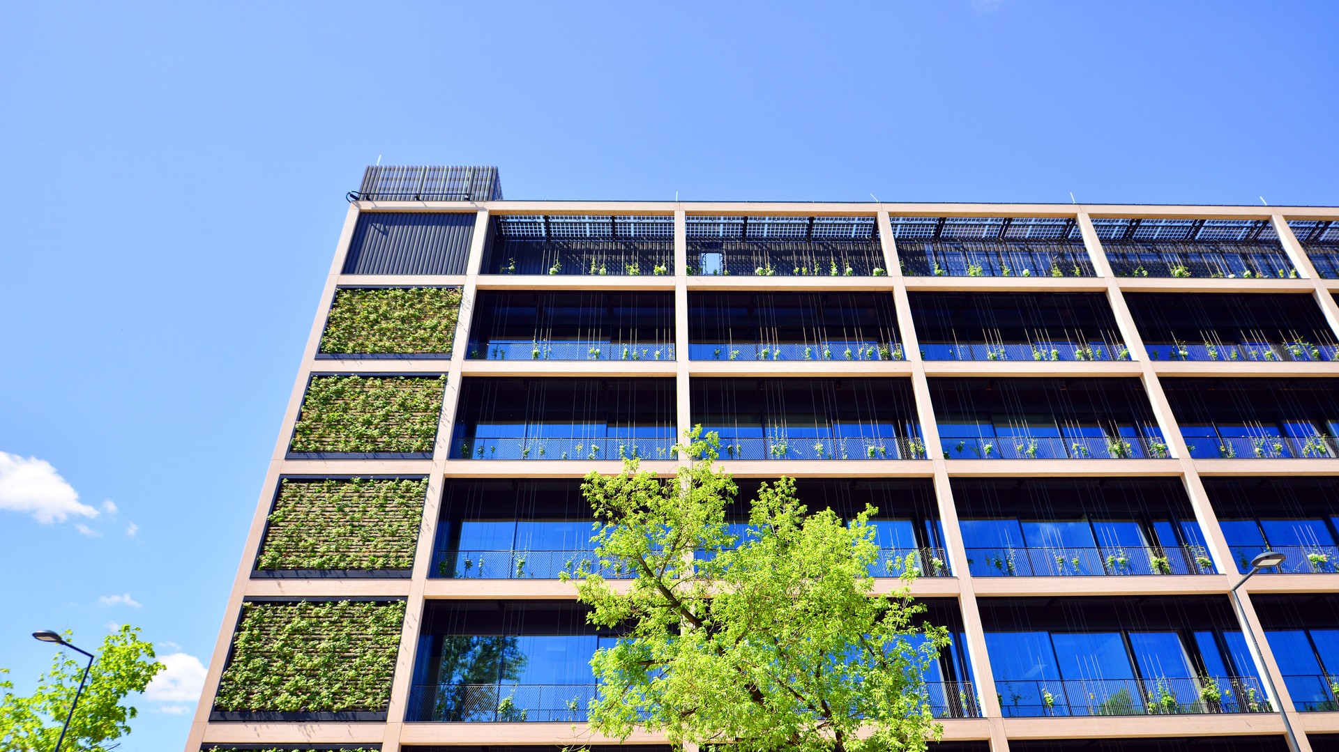 Modern city eco office building with tree. Detail shot of modern architecture facade,business concepts.